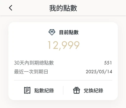 消費記錄介面展示